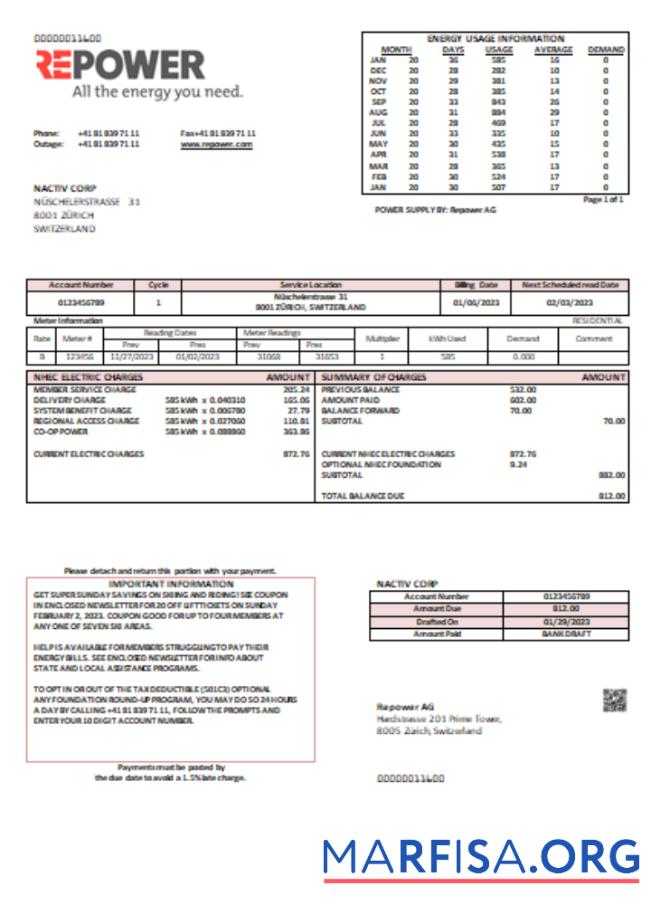 Blank Repower AG utility business bill SCR sample
